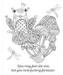 Cheer The F*Ck Up Coloring Book