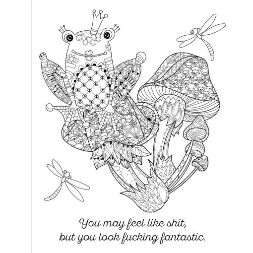 Cheer The F*Ck Up Coloring Book - Image 3