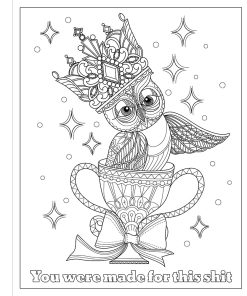 Alternative view of You F*Cking Got This Coloring Book