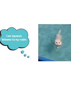 Wet Pussies: Hilarious Snaps Of Damp Cats