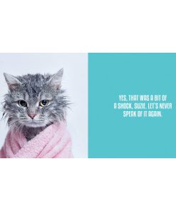 Wet Pussies: Hilarious Snaps Of Damp Cats