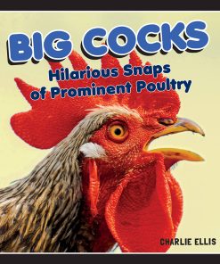 Big Cocks: Hilarious Snaps Of Prominent Poultry
