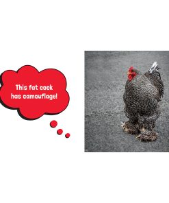 Alternative view of Big Cocks: Hilarious Snaps Of Prominent Poultry