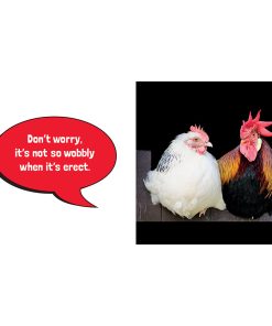 Big Cocks: Hilarious Snaps Of Prominent Poultry