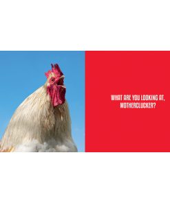 Big Cocks: Hilarious Snaps Of Prominent Poultry