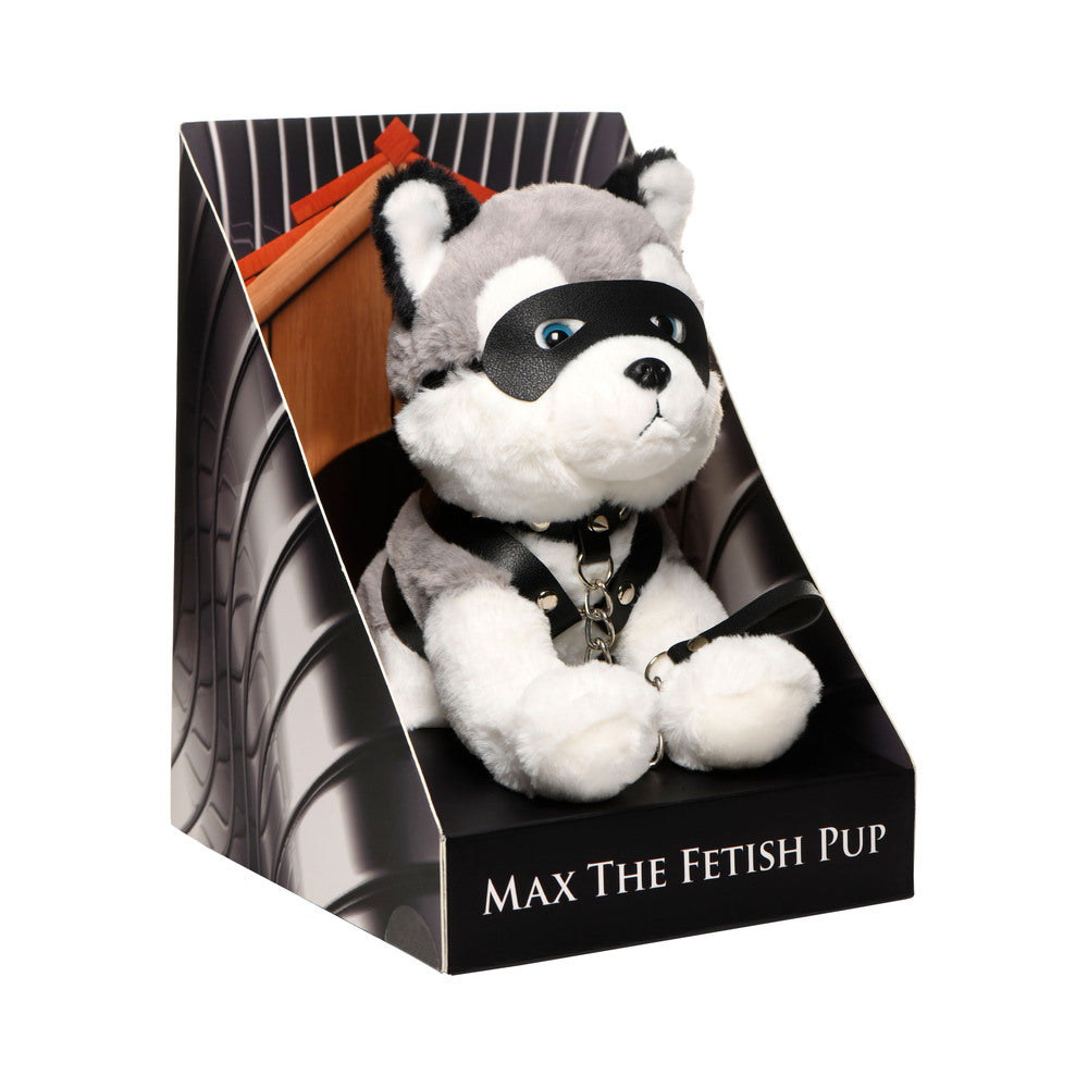 Master Series Max The Fetish Pup 1 Master Series Max The Fetish Pup