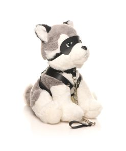 Master Series Max The Fetish Pup 11 Master Series Max The Fetish Pup