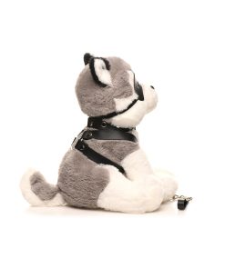 Master Series Max The Fetish Pup 13 Master Series Max The Fetish Pup