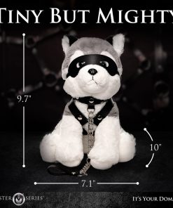 Master Series Max The Fetish Pup 17 Master Series Max The Fetish Pup