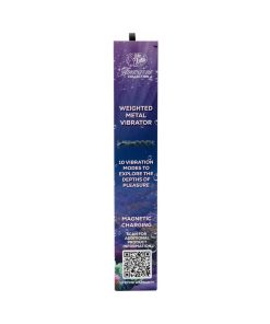 Hidden Treasure Metal Vibrator