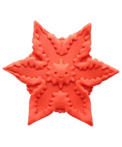 Cute Little Fuckers Starsi Coral