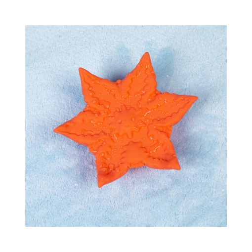 Cute Little Fuckers Starsi Coral - Image 2
