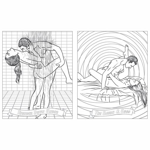 Sex Position Coloring Book: Playtime For Couples - Image 4
