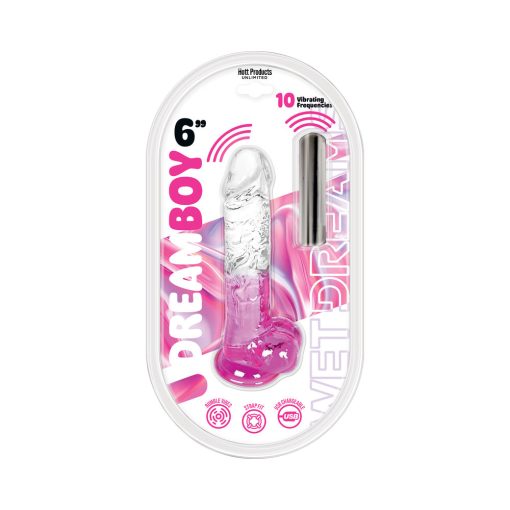 Wet Dreams Dream Boy 6 In. Jelly Dildo & Rechargeable Bullet Clear/Magenta Gradient