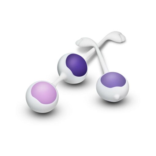 Wellness Kegel Training Kit Purple - Image 2