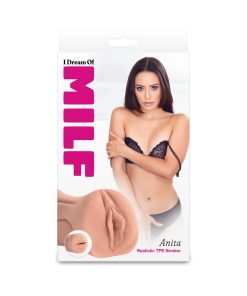 I Dream Of Milf Anita Tan