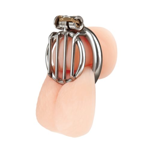 Blue Line Stainless Steel Inverted Micro Jail Time Chastity Cage - Image 2