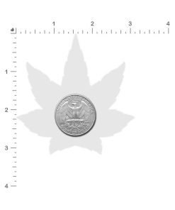 Pastease Indica Pot Leaf: Silver Holographic Weed Pasties 6 Pastease Indica Pot Leaf: Silver Holographic Weed Pasties